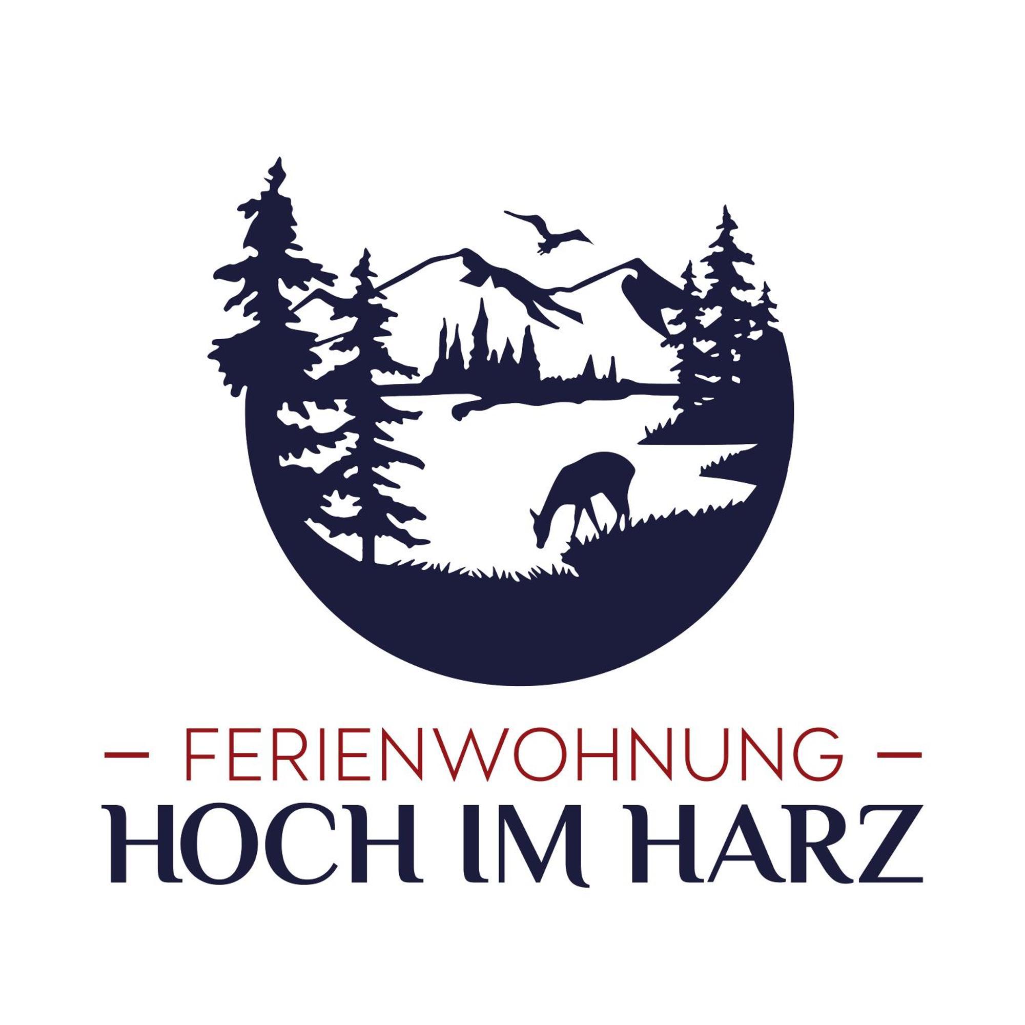Ferienwohnung Hoch Im Harz, Altenau Altenau (Lower-Saxony) Exterior foto
